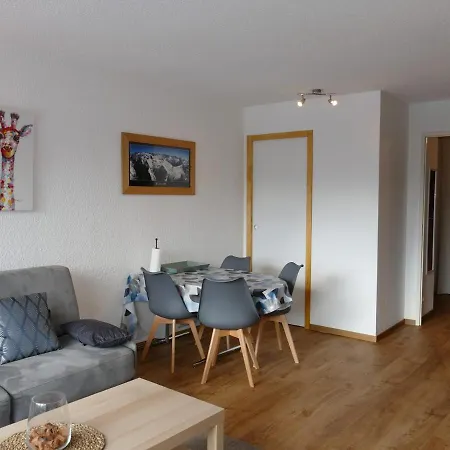 Les 2 Alpes - Renove 4 Pers, Pied Des Pistes, Parking - Fr-1-546-53 *